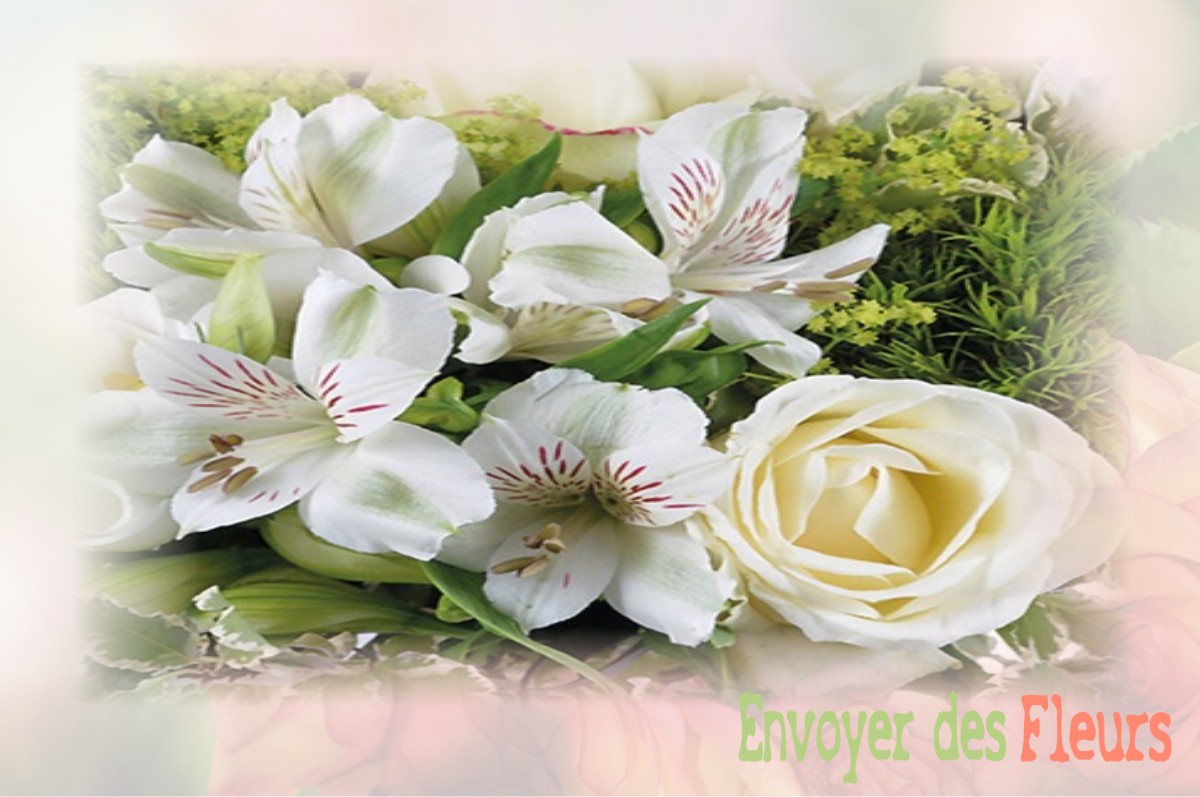 envoyer des fleurs à à VILLETTE-SUR-AUBE